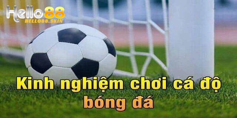 Kiến Thức Chuyên Môn - Yếu Tố Cốt Lõi Để Soi Kèo Bóng Đá Hello88 Thành Công